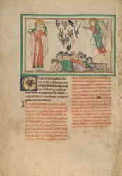 Een engel staande in de zon en vogels uitgenodigd voor het feestmaal